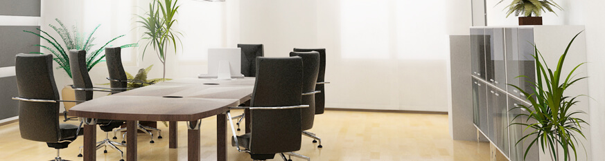 company office1