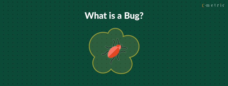 what is a bug