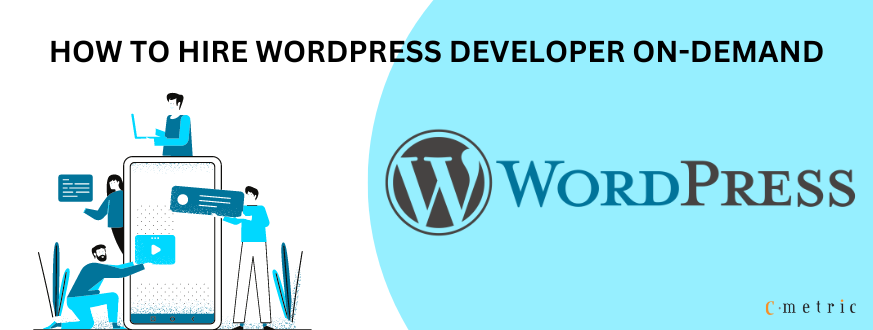 Hire WordPress Developer